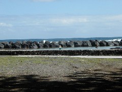 Hawaii Trips ocean beach