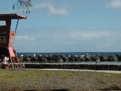 Hawaii Trips; ocean beach