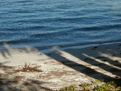 Micronesia Saipan Trips ocean beacn