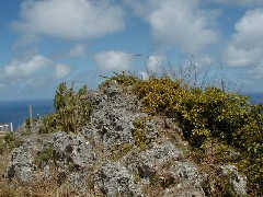 Saipan Trips