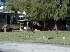 Micronesia Saipan Trips
