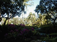 Micronesia Saipan Trips