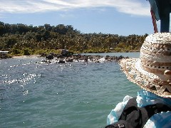 Chuuk Micronesia Trips