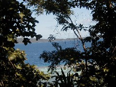 Chuuk Micronesia Trips