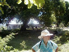 Dan Dorrough; Chuuk Micronesia Trips