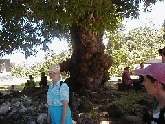Ruth Bennett McDougal Dorrough; Chuuk Micronesia Trips