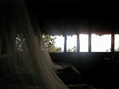 Micronesia Pohnpei Trips Village thatched roof hut