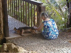 Ruth Bennett McDougal Dorrough; Micronesia Pohnpei Trips Village dog