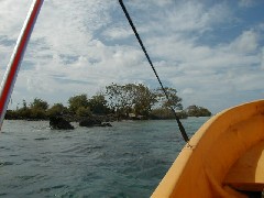 Micronesia Pohnpei Trips