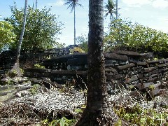 Micronesia Pohnpei Trips Nan Madol