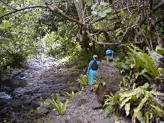 Ruth Bennett McDougal Dorrough; Micronesia Pohnpei Trips