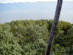 Micronesia Pohnpei Trips ocean beach;