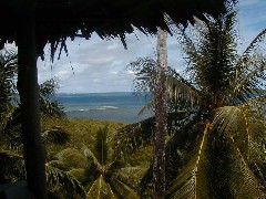 Micronesia Pohnpei Trips The Village