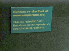 Hawaii Trips Aquarium