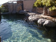 Hawaii Trips Aquarium