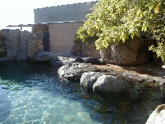 Hawaii Trips Aquarium