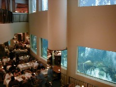 Hawaii Trips Aquarium