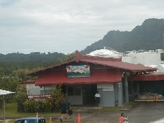 Micronesia Trips Kosrae