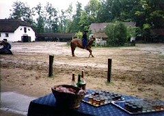 Trips Hungary horse show