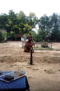 Trips Hungary horse show