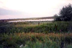 Trips Hungary geese
