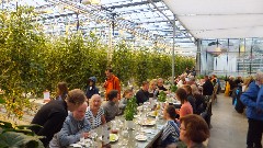 Reykholt; Iceland; Greenhouse, IS