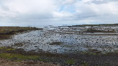Western Region; Iceland, IS