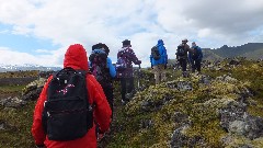 Iceland Road Scholar group; Western Region; Iceland, IS