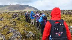 Road Scholar Group; Western Region Iceland, IS