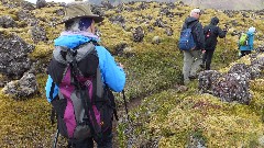 Ruth Bennett McDougal Dorrough; Road Scholar Group Iceland