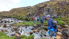 Iceland group; Stykkisholmur, Iceland, IS