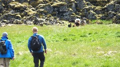Randy Ratner; Hermann; Stykkisholmur, Iceland, IS