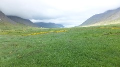 Isafjordur Iceland, IS