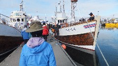 Ruth Bennett McDougal Dorrough; Whale watching; Husavik, Iceland, IS