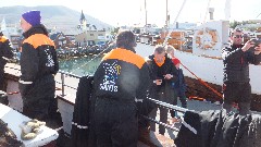 Whale watching; Husavik, Iceland, IS