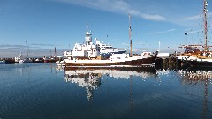 whale watching; Husavik, Iceland, IS