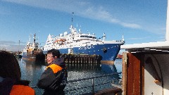 Ocean Diamond Cruise Ship; Husavik, Iceland, IS