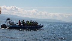 whale watching; Husavik Bay, Iceland, IS