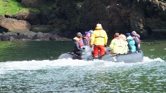 Zodiac Trip; Vestmannaeyjar Heimaey Iceland, IS