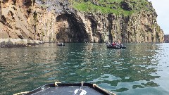 Zodiac Trip; Vestmannaeyjar Heimaey Iceland, IS