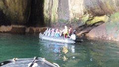 Zodiac trip; Vestmannaeyjar Heimaey Iceland, IS