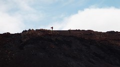 Vestmannaeyjar Heimaey Iceland, IS