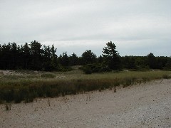 Sturgeon Bay Beach Michigan 2005 Trips