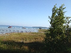 Michigan; Traverse City