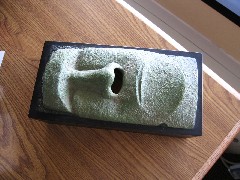 Trips; Minnesota; Edgewater Resort Water Park; kleenex box