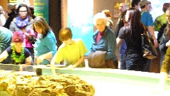 Jacob Grant Wheeler; Ruth Dorrough; Aquarium Boston, MA