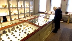 New_England; Boston 2015-03; Peabody Museum at Harvard