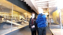 New_England; Boston 2015-03; Peabody Museum at Harvard