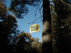 Trips Hawthorne Town Forest Hiking Trail New England