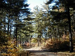 Trips New England hiking